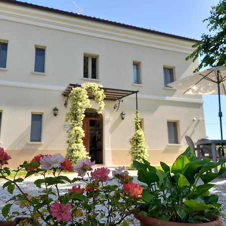 Villa Marietta Country House - Marche Montemaggiore al Metauro Zewnętrze zdjęcie