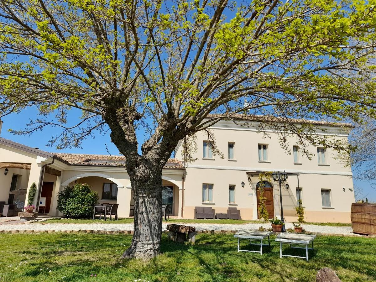 Villa Marietta Country House - Marche Montemaggiore al Metauro Zewnętrze zdjęcie