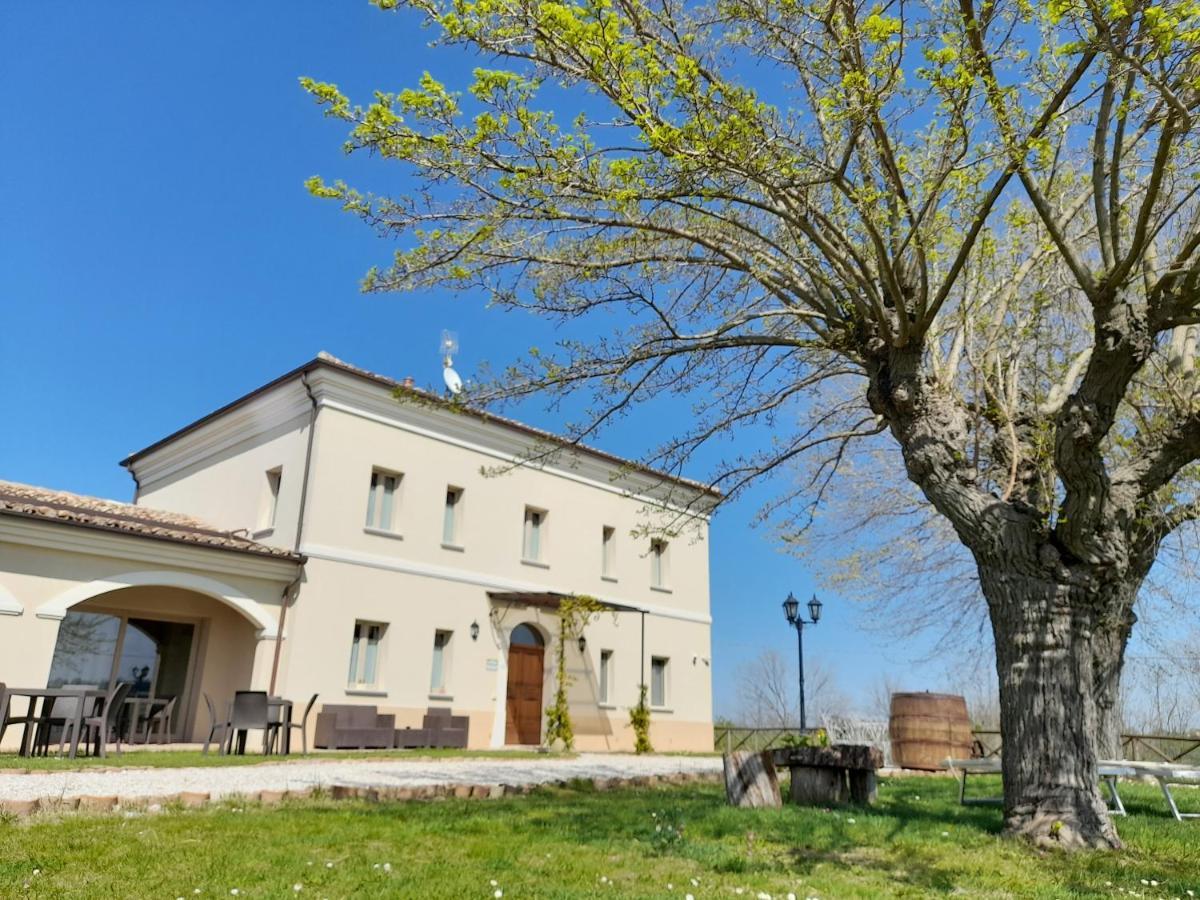 Villa Marietta Country House - Marche Montemaggiore al Metauro Zewnętrze zdjęcie