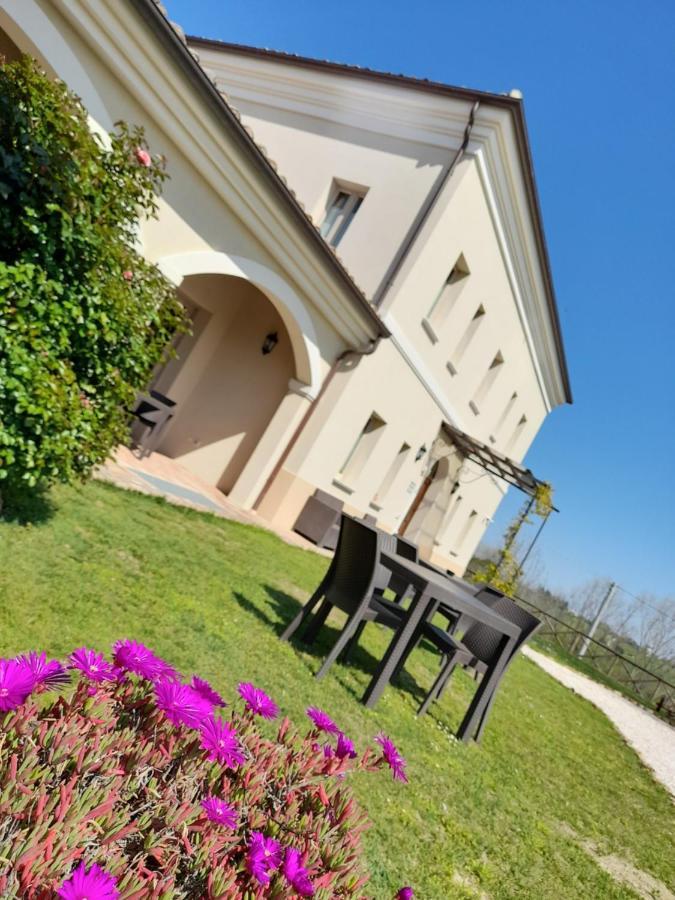 Villa Marietta Country House - Marche Montemaggiore al Metauro Zewnętrze zdjęcie