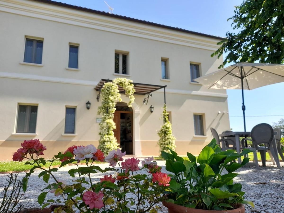 Villa Marietta Country House - Marche Montemaggiore al Metauro Zewnętrze zdjęcie