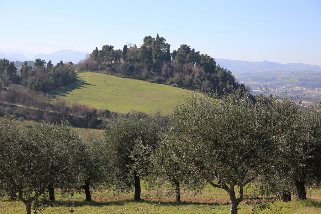 Villa Marietta Country House - Marche Montemaggiore al Metauro Zewnętrze zdjęcie